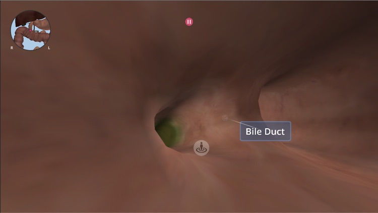 Anatomyou VR: 3D Human Anatomy screenshot-3