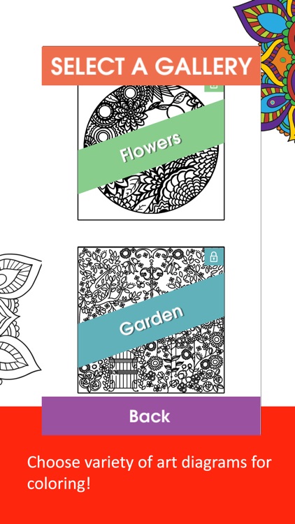 Adult Coloring Book & Colorfy Pigment For Sleep