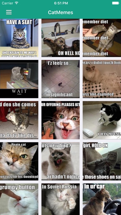 Funny Cat Free - News, Videos & Cute Cat Pictures screenshot-4