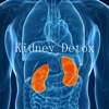 Kidney Detox for Beginners-Diet Guide and Healthy