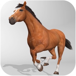 Horse Simulator 3D - Horseback Riding