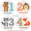 Baby Stickers - Capture Baby Milestones & Stickers for baby photos