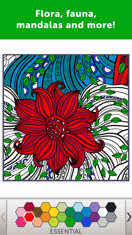 Adult Coloring Book - Coloring Book for Adults