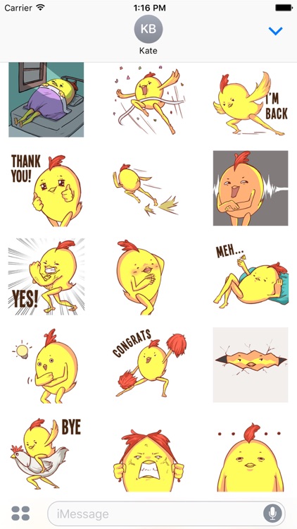 Cool Chicken