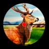 2016 Deer Hunter Heaven - African White Tail Deer Hunting Forest Animal