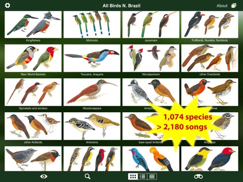 All Birds Northern Brazil - a field guide to all the bird species recorded in this region of South America screenshot 2
