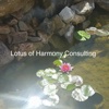 Lotus of Harmony Consulting