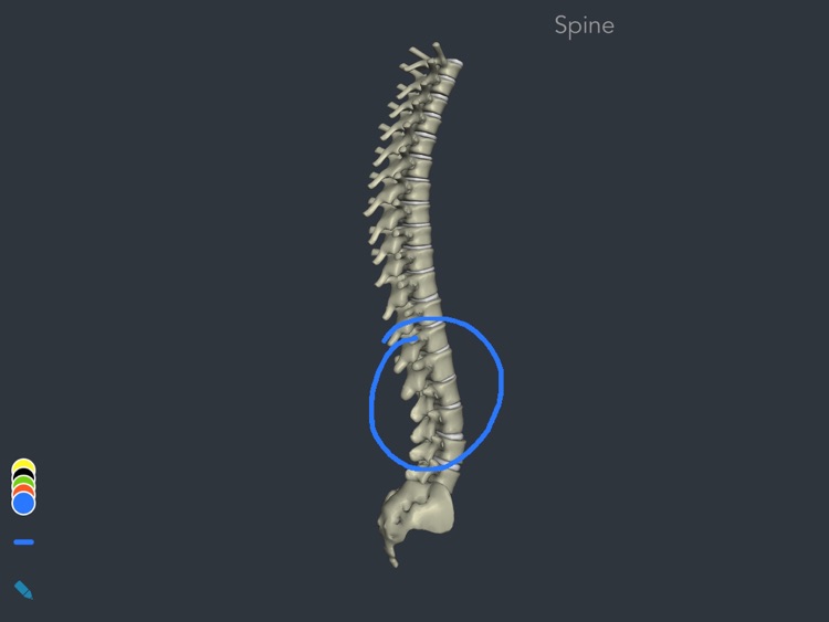 EngageMyHealth Spine