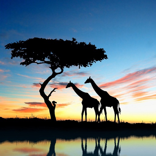 African Safari Wallpapers HD:Quotes icon