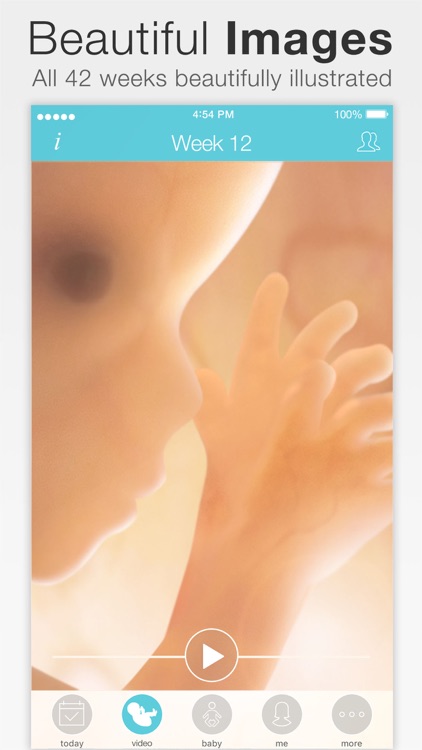Pregnancy +