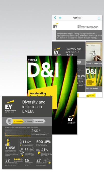 EY EMEIA Diversity and Inclusion