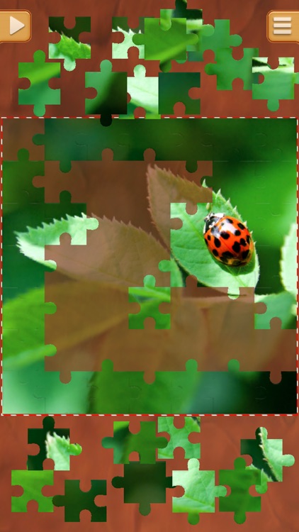 Leaf Puzzle Games - Real Picture Jigsaw Puzzles