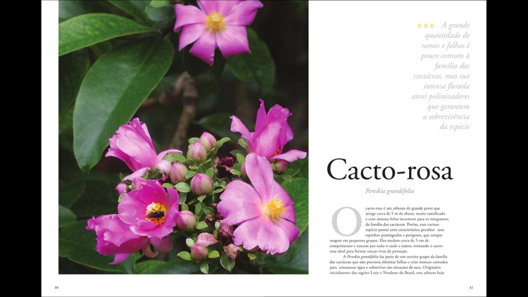 Plantas Ornamentais - Volume 1