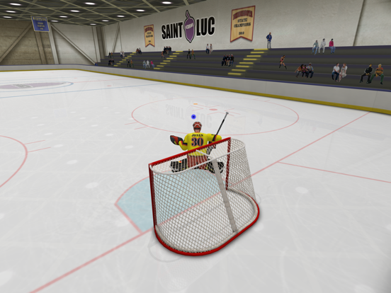 Virtual Goaltender для iPad