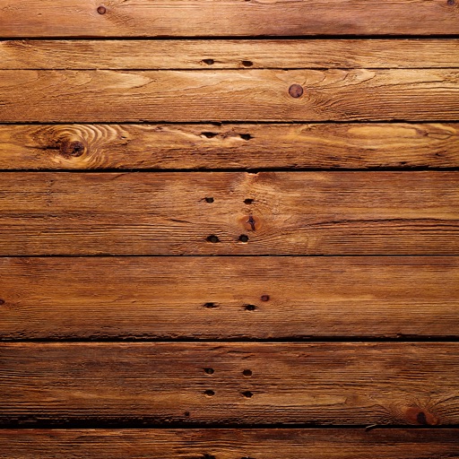 Woodworm 101-Furniture Care Guide and Restore Tips icon