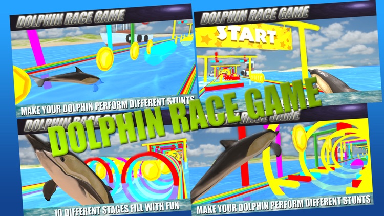 Dolphin Race Game screenshot-4