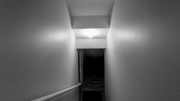 Wardwell House screenshot-4
