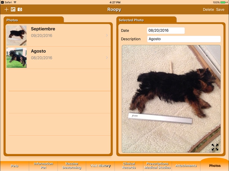 Pet's Veterinary Records screenshot-3