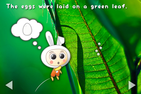 Pepa and the Butterfly - Read & Learn Storybook screenshot 2