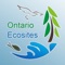 Key to the Provincial Terrestrial and Wetland Ecosites of Ontario