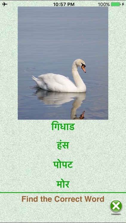 FlashCards Marathi Lesson screenshot-4