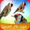 Icon اصوات الطيور