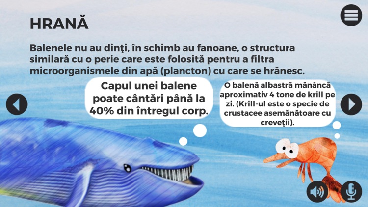 Balene si delfini