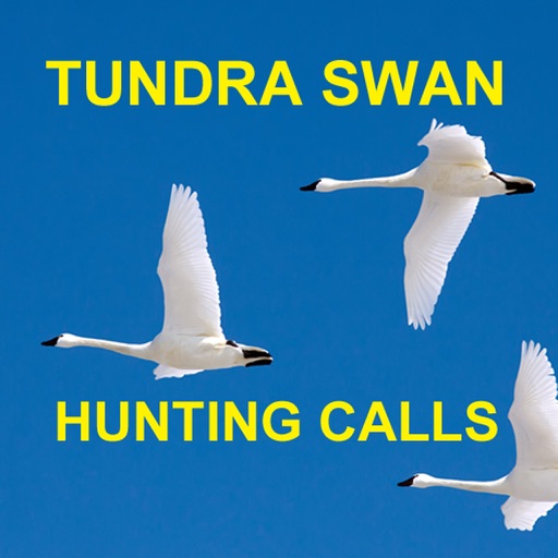 Tundra Swan Hunting Calls - BLUETOOTH COMPATIBLE iOS App