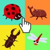 Puzzle Insects for Kids