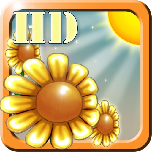 FindSunshine HD