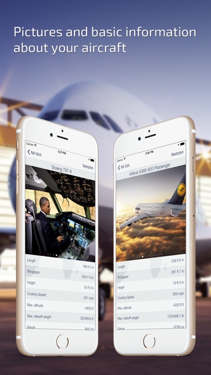 Flight Board & Status Live
