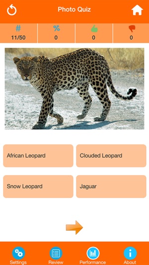 Animals : Wild Mammals Quiz(圖4)-速報App