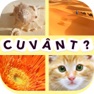 Get 4 Imagini 1 Cuvânt for iOS, iPhone, iPad Aso Report
