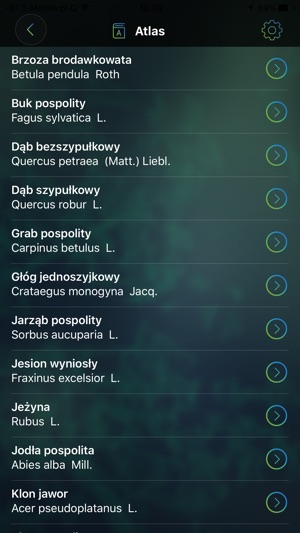 Czyj to liść?(圖4)-速報App