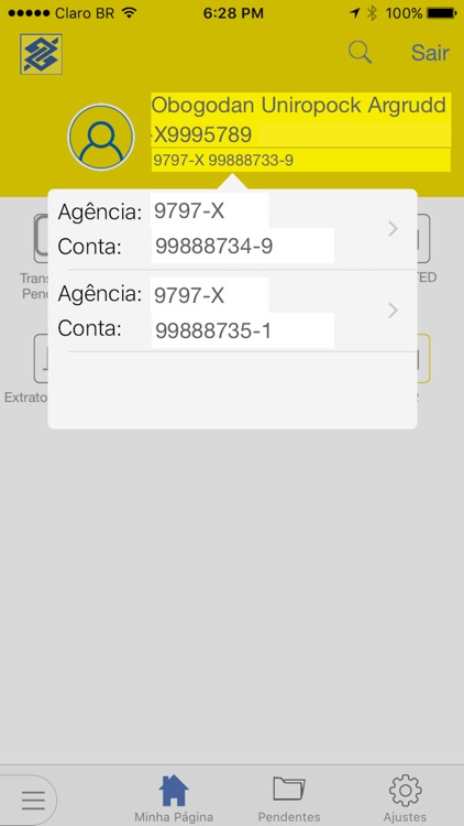 BB Gerenciador Financeiro PJ screenshot-4
