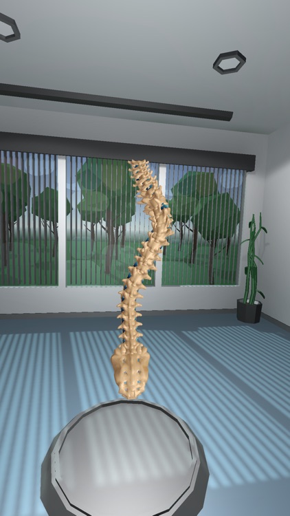 Scoliosis VR