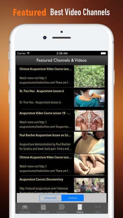 Acupuncture Dictionary- Glossary and Tutorial