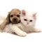 Cats and Dogs Breeds is a great collection with the most interesting photos and info
