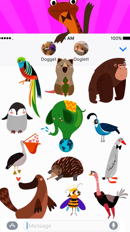 Cute Animal Stickers