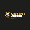 Andino CrossFit Maipu