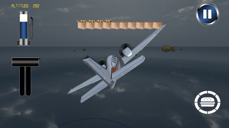 Real Rescue Airplane 2016 : National Hero