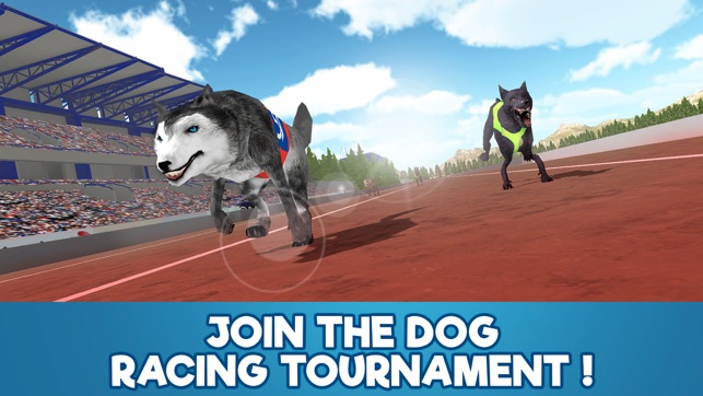 Dog Racing Tournament Sim 3D(圖1)-速報App