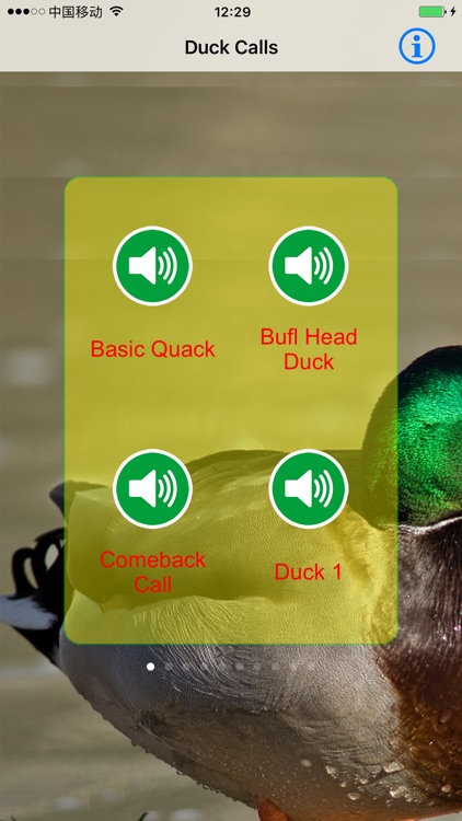 Duck Hunting Calls & Sounds - Real Duck Calls screenshot-3