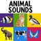 Learn sounds of first animals