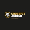 Andino CrossFit Vistalba