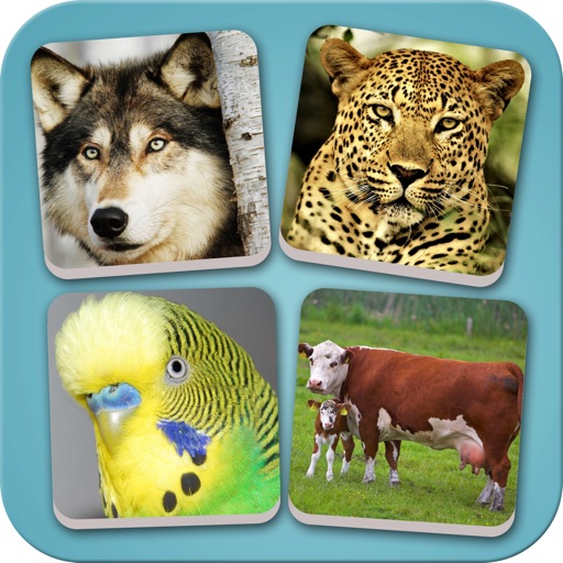 Close Up Animal Quiz & Guessing For Zoom Out Pets Icon