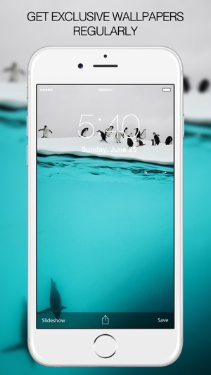 Penguin Wallpapers – Penguin Pictures & Background(圖3)-速報App