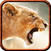 2016 Lion Hunter Pro Challenge Pro