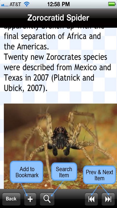 Spider Bible review screenshots