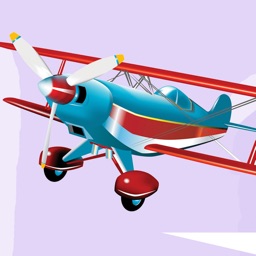 The Freedom Small Plane